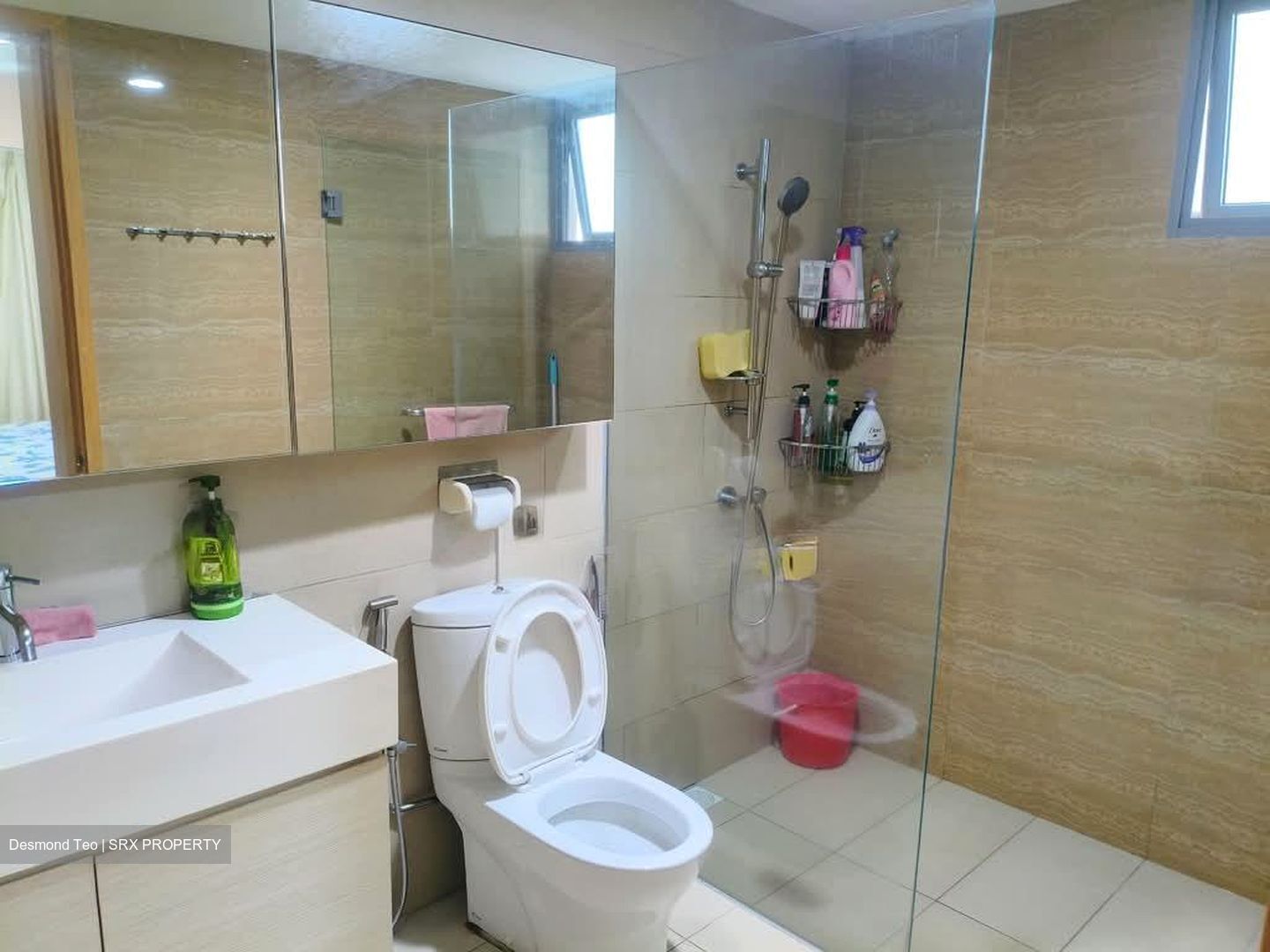 A Treasure Trove (D19), Condominium #545804911